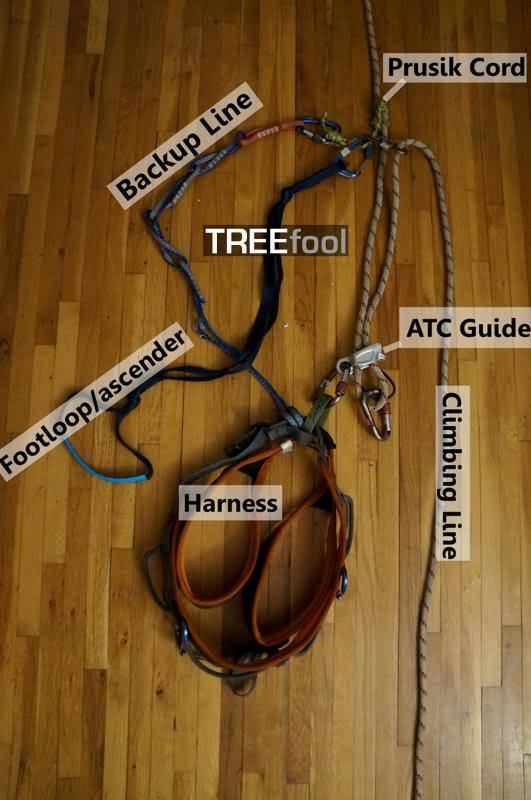 Budget RADS with ATC Guide