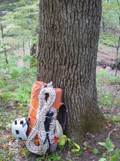 backpack at base of tree