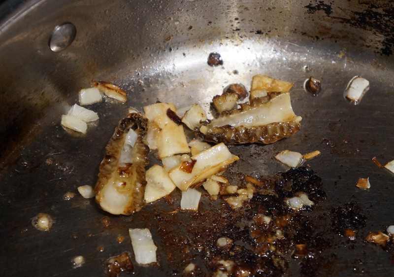 Tree Fool Morel Hunting in South Dakota – TREEfool